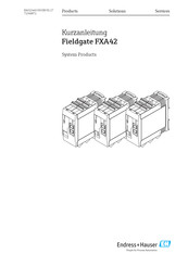 Endress+Hauser Fieldgate FXA42 Kurzanleitung