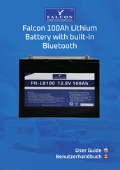 Falcon FN-LB100-BT Benutzerhandbuch