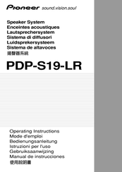 Pioneer PDP-S19-LR Bedienungsanleitung
