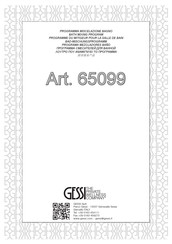Gessi 65099 Montageanleitung