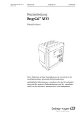 Endress+Hauser EngyCal RS33 Kurzanleitung