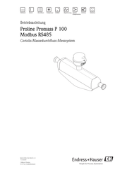 Endress+Hauser Proline Promag P 100 Betriebsanleitung