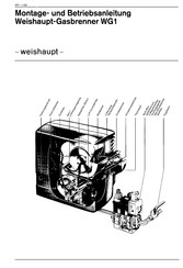 Weishaupt WGIS/2-F Montageanleitung
