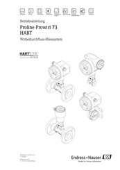 Endress+Hauser Proline Prowirl 73 HART Betriebsanleitung