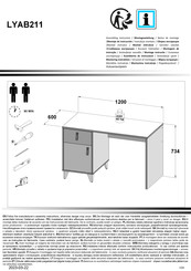 Forte LYAB211 Montageanleitung