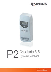 QUNDIS Q caloric 5.5 P2 Systemhandbuch