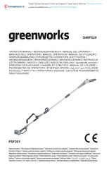 GreenWorks G40PS20 Bedienungshandbuch