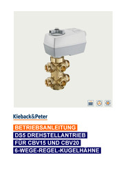 Kieback&Peter DS5 Betriebsanleitung