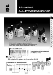 SMC AV5000 Sicherheitshinweise