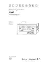 Endress+Hauser RIA45 Bedienungsanleitung