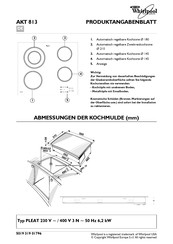 Whirlpool AKT 813 Produktangabenblatt