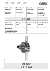 Dungs FRSBV Gebrauchsanleitung