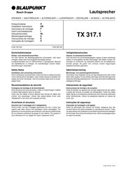Blaupunkt TX 317.1 Einbauhinweise