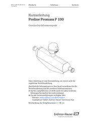 Endress+Hauser Proline Promag P 100 Kurzanleitung