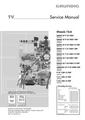 Grundig T 55-4201 TOP Service