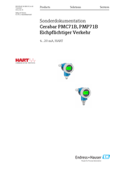 Endress+Hauser Cerabar PMC71B Bedienungsanleitung