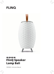 FLINQ Bali Handbuch