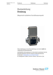 Endress+Hauser Dosimag Kurzanleitung
