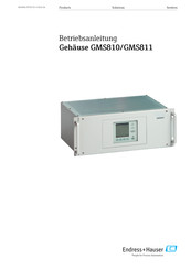 Endress+Hauser GMS810 Betriebsanleitung