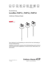 Endress+Hauser Levelflex FMP52 Kurzanleitung