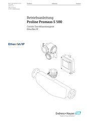 Endress+Hauser Proline Promass S 500 Betriebsanleitung
