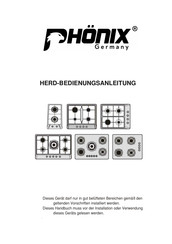 PHÖNIX Domino-1010GBT Bedienungsanleitung