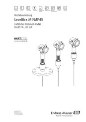 Endress+Hauser Levelflex M FMP45 Betriebsanleitung
