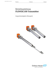 Endress+Hauser FLOWSIC100 Betriebsanleitung