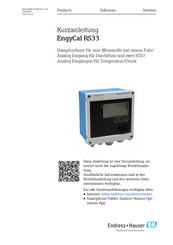 Endress+Hauser EngyCal RS33 Kurzanleitung