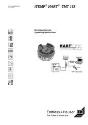 Endress+Hauser iTEMP HART TMT 182 Betriebsanleitung