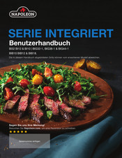 Napoleon INTEGRIERT BIG38-1 Benutzerhandbuch