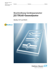 Endress+Hauser J22 TDLAS Beschreibung