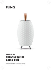 FLINQ Bali Handbuch