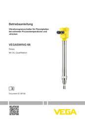 VEGA VEGASWING 66 Betriebsanleitung