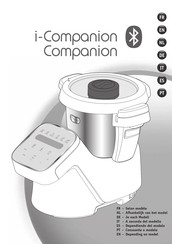 Moulinex companion Bedienungsanleitung