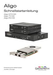Datapath Aligo TX100 Schnellstartanleitung