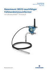 Emerson Rosemount 3051S MultiVariable Kurzanleitung