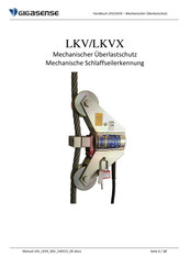 Gigasense LKV Handbuch