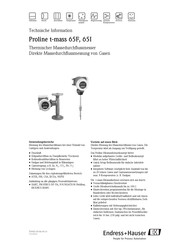 Endress+Hauser Proline t-mass 65I Technische Information