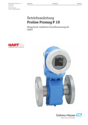 Endress+Hauser Proline Promag P 10 Betriebsanleitung