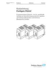 Endress+Hauser Fieldgate FXA42 Kurzanleitung