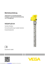 Vega VEGAFLEX 81 Betriebsanleitung