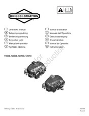 Briggs & Stratton 11000B Bedienungsanleitung