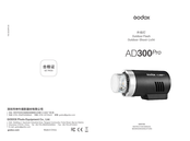 Godox AD300Pro Bedienungsanleitung
