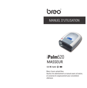 Breo iPalm520 Benutzerhandbuch