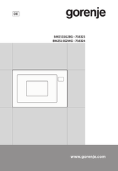 Gorenje BM251SG2BG Bedienungsanleitung