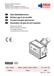 Riello GS10D Installations-, Gebrauchs- Und Wartungsanleitung