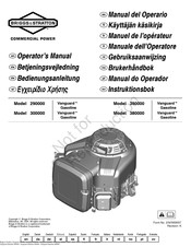 Briggs & Stratton 3867 Betriebsanleitung
