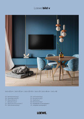 Loewe bild v Betriebsanleitung