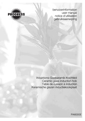 Progress pai 6000e Benutzerinformation